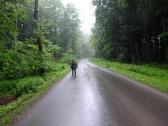  Wanderroute auf der Strae nach Murstetten 