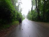  Wanderroute auf der Strae nach Murstetten 