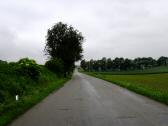 Umleitungsstrecke auf der L2285 ber Winkling nach Wiesen 