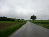Umleitungsstrecke auf der L2285 ber Winkling nach Wiesen 