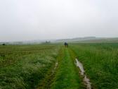  Blick auf die Wanderstrecke nach Pnning 