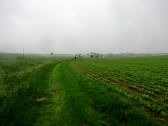  Wanderroute entlang des Bachs nach Rapoltendorf 