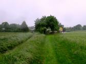  Wanderroute nach Rapoltendorf 