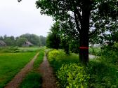Wanderweg entlang des Michelbachs Richtung Untergrafendorf
