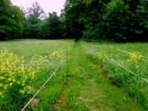  Wanderweg nach Untergrafendorf 