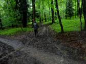  Wanderroute durch den Wald des Schildbergs 