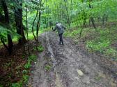  Wanderroute durch den Wald des Schildbergs 