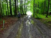  Wanderroute durch den Wald des Schildbergs 