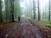  Wanderroute am Kollersberg 