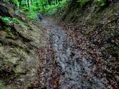  auf morastigen Weg der Abstieg vom Plattenberg 