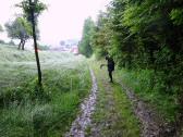  Wanderweg bei Mechters 