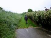  Wanderweg bei Mechters 