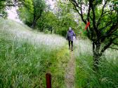  Wanderweg bei Mechters 