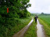  Wanderweg entlang der Perschling 
