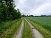 Wanderweg entlang der Perschling 