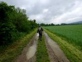  Wanderweg entlang der Perschling 