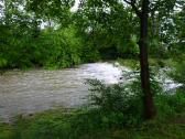  Impression des Michelbachs 