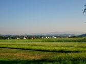  Fernblick nach Neumhl und Wilhelmsburg 