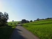  bergan zum Gehft Wurzer 