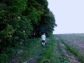  weiter bergan 