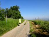 Wanderroute auf einem schnen Hhenweg am Kratzenberg 