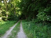  Wanderweg nach Drnbach 