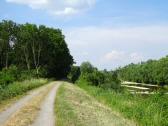  Wanderweg entlang der Traisen am linken Ufer 