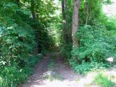  Wanderroute durch die Traisenau 
