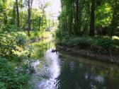  Impression vom Mhlbach 