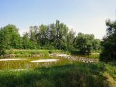  Impression von der Traisen 