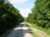  Wanderweg entlang der Traisen am linken Ufer 