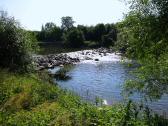  Impression von der Traisen  bei Eind 