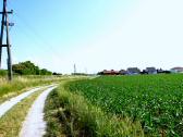  Blick auf die Wanderroute Richtung Angern 