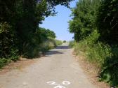  Wanderweg leicht bergan 