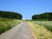  Wanderweg leicht bergan 