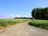  Wanderweg auf der Anhhe 