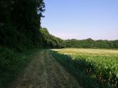  Blick auf die Wanderroute 