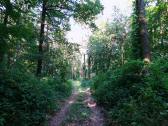  Wanderroute durch den Gutenbrunner Wald 