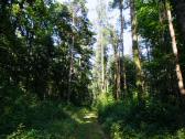  Wanderroute durch den Gutenbrunner Wald 
