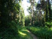  Wanderroute durch den Gutenbrunner Wald 