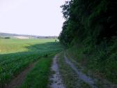  Wanderroute durch die Riede Gradfeld 