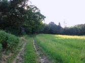  Blick auf die Wanderroute 