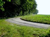  Blick auf die Wanderroute 