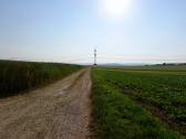  der Sonne entgegen 