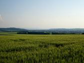  schner Fernblick nach St. Plten 