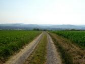  Blick auf die Wanderroute 