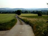  Wanderweg nach St. Andr an der Traisen 