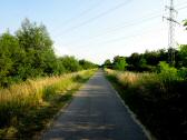 Wanderweg entlang der Traisen am linken Ufer 