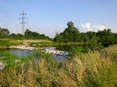  Impression von der Traisen 