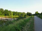  Wanderweg entlang der Traisen am linken Ufer 